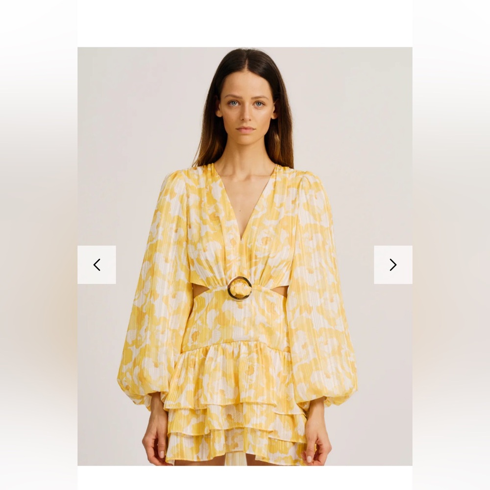 Torn by Ronny Kobo Yellow and Cream Mini Dress - Picture 2 of 5
